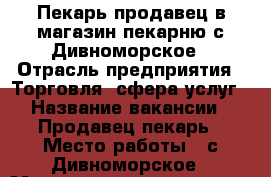 Пекарь-продавец в магазин-пекарню с.Дивноморское › Отрасль предприятия ­ Торговля, сфера услуг › Название вакансии ­ Продавец-пекарь › Место работы ­ с.Дивноморское › Минимальный оклад ­ 15 000 › Максимальный оклад ­ 20 000 › Возраст от ­ 18 › Возраст до ­ 45 - Краснодарский край, Геленджик г. Работа » Вакансии   . Краснодарский край,Геленджик г.